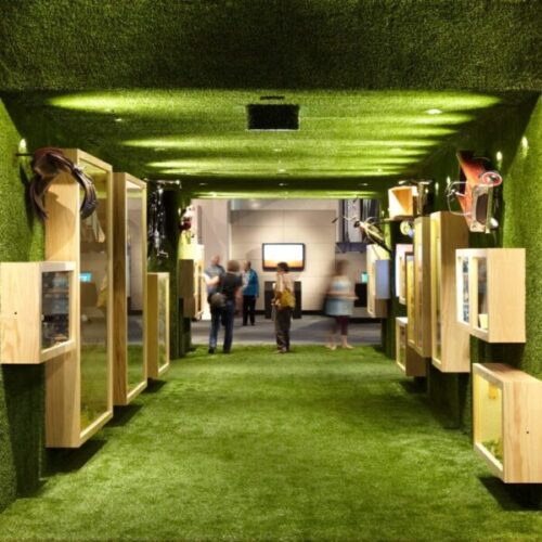 Grass-covered exhibition corridor with artificial turf walls and ceiling, wooden display boxes, mounted objects, visitor silhouettes, and immersive museum installation design.
