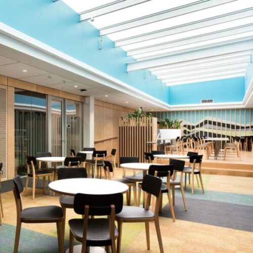 Sunlit healthcare or aged-care dining lounge with round white tables, black chairs, pale wood accents, blue walls, skylight roof, raised seating area, and plant-filled timber screens.